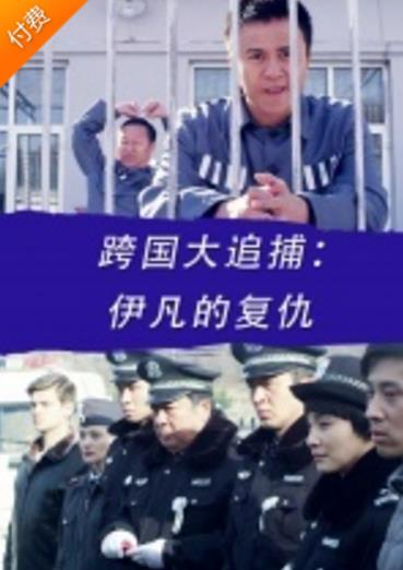 跨国大追捕：伊凡的复仇